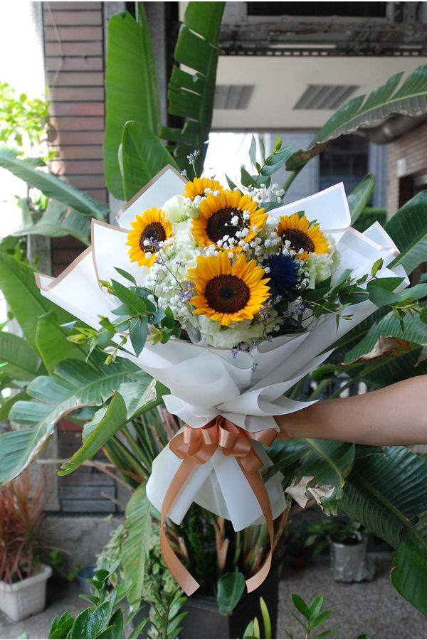 陽光朝氣向日葵Sunshine Blooms